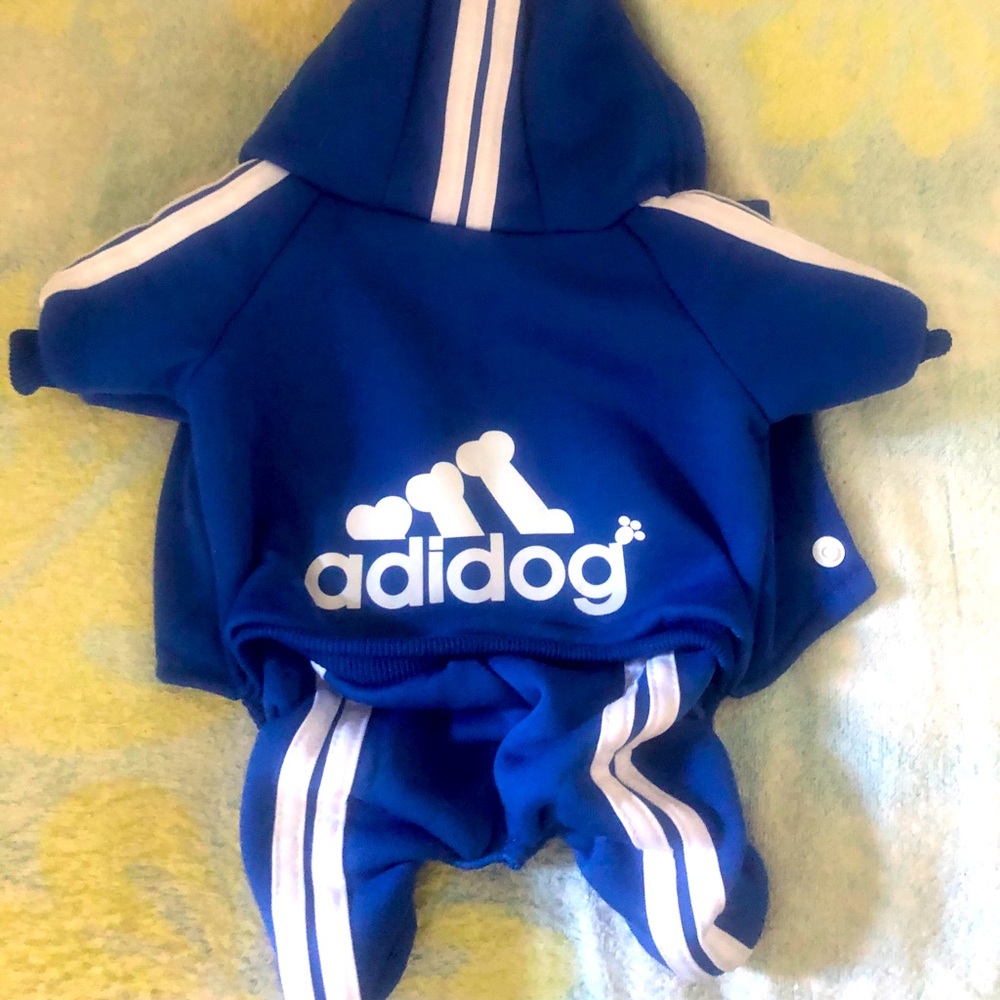 Adorable sweatsuit for your Chihuahua or Shih Tzu